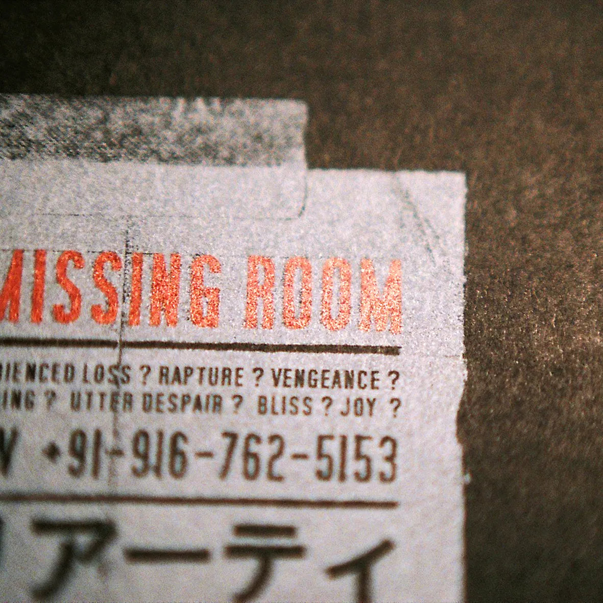 VINYLE - THE MISSING ROOM