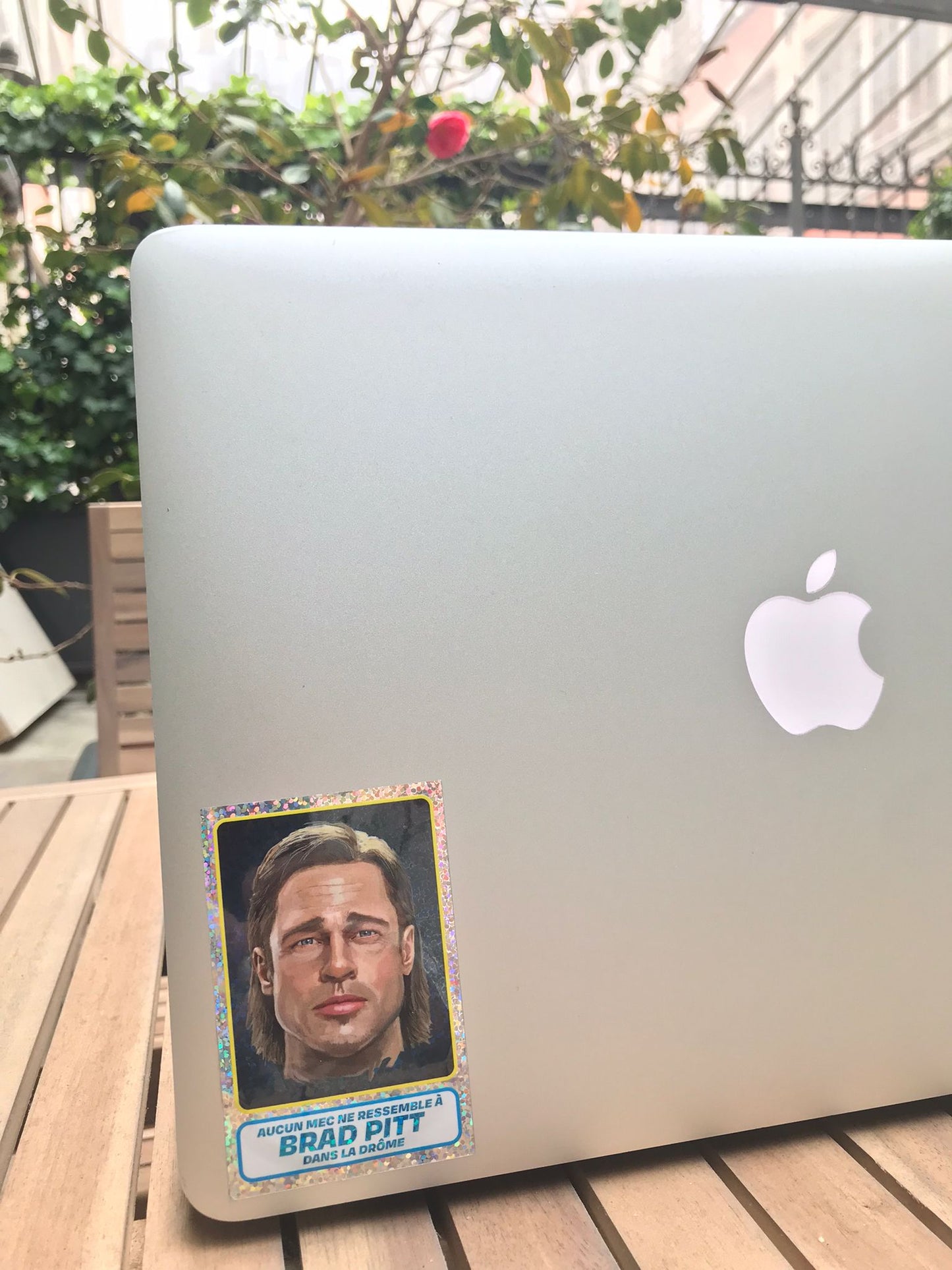 STICKERS BRAD PITT + VIGNETTES PANINI